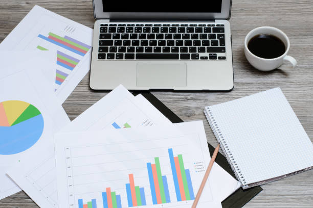 دراسة استراتيجيات الحملات الإعلانية في التسويق الرقمي
